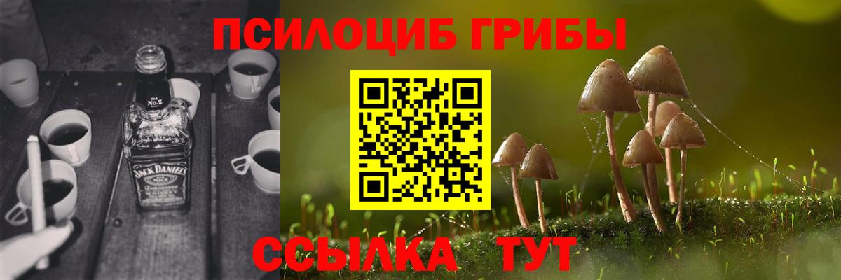 Псилоцибиновые грибы Cubensis Касимов